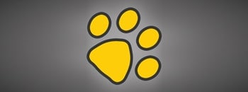 Yellow Dog Inventory