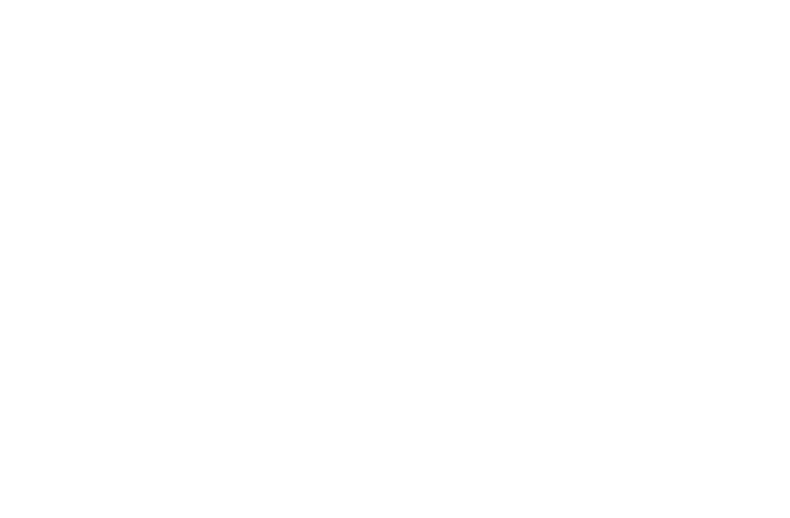 Logo da Indetail