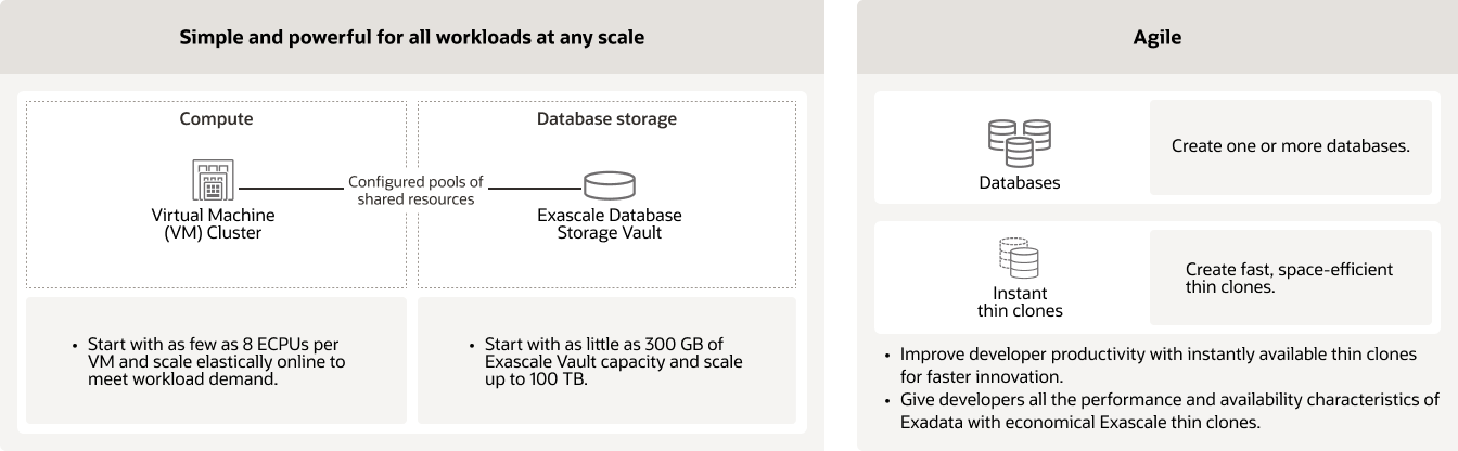 Exascale Infrastructure diagram, description below