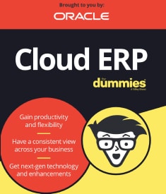 Scarica l'immagine in miniatura della copertina della guida all'ERP per principianti