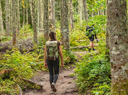 deloitte-sustainability-transformation